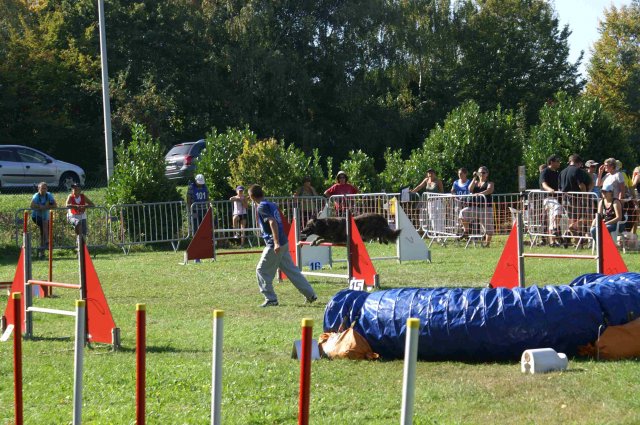 agility verriere 2011-10-01